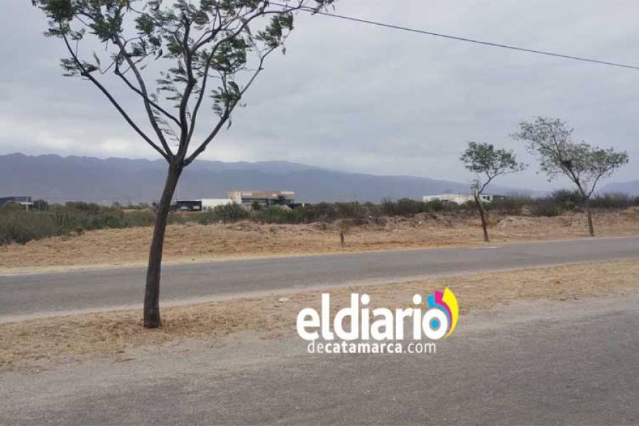 Con viento y una temperatura que alcanzará los 31°C