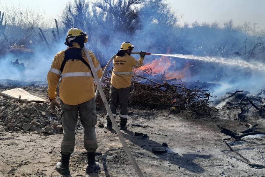 Situación actual de Incendios Forestales en Catamarca