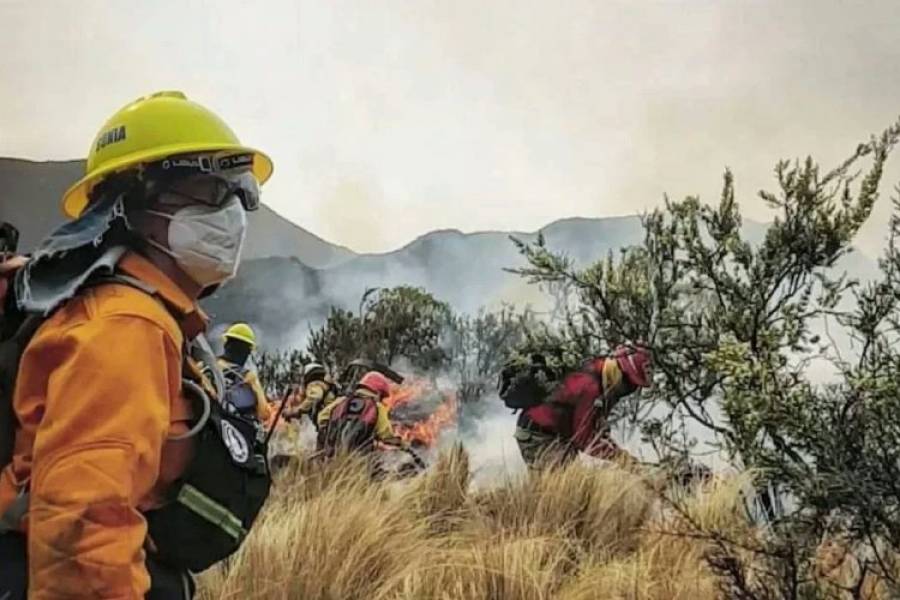 Por los incendios en Córdoba, declararon la emergencia ambiental