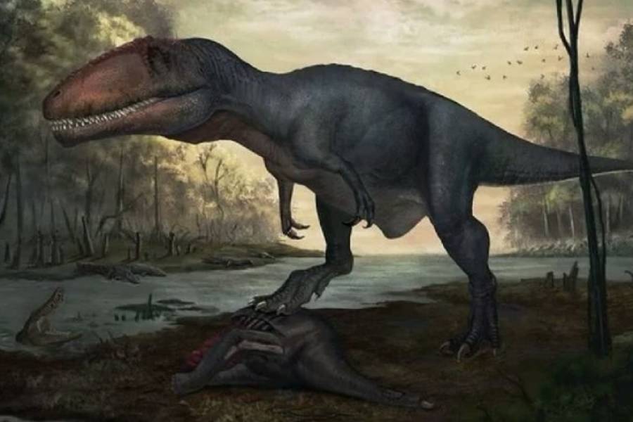 Descubrieron restos fósiles de un dinosaurio rival del Tiranosaurio Rex