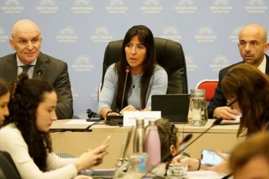 Diputados: hay dictamen a favor de la privatización de Aerolíneas Argentinas