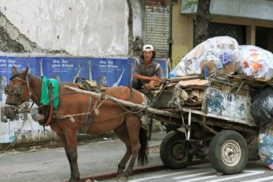 En la provincia de Buenos Aires buscan prohibir por Ley la tracción a sangre