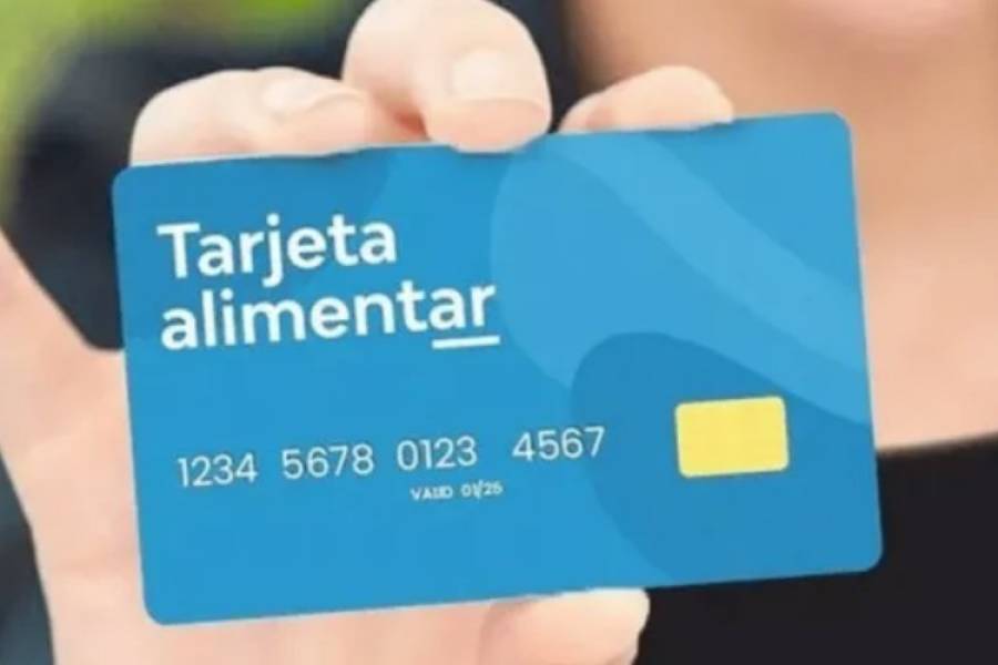 ANSES: qué sucederá con las Tarjeta Alimentar en diciembre 2024