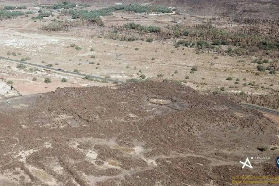 Descubrimiento arqueológico: hallan un oasis que permaneció oculto en el desierto por 4000 años