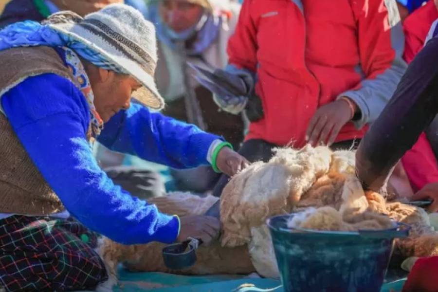 Chaku en Laguna Blanca con participación de turistas y visitantes