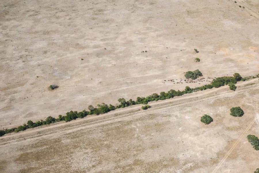 Declaran la emergencia agropecuaria en Santa Fe por la sequía